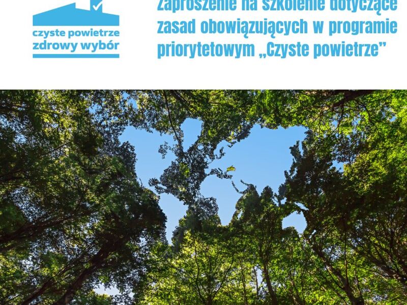 Zdjęcie przedstawia drzewa na tle nieba