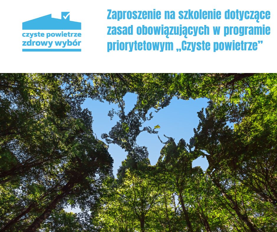 Zdjęcie przedstawia drzewa na tle nieba
