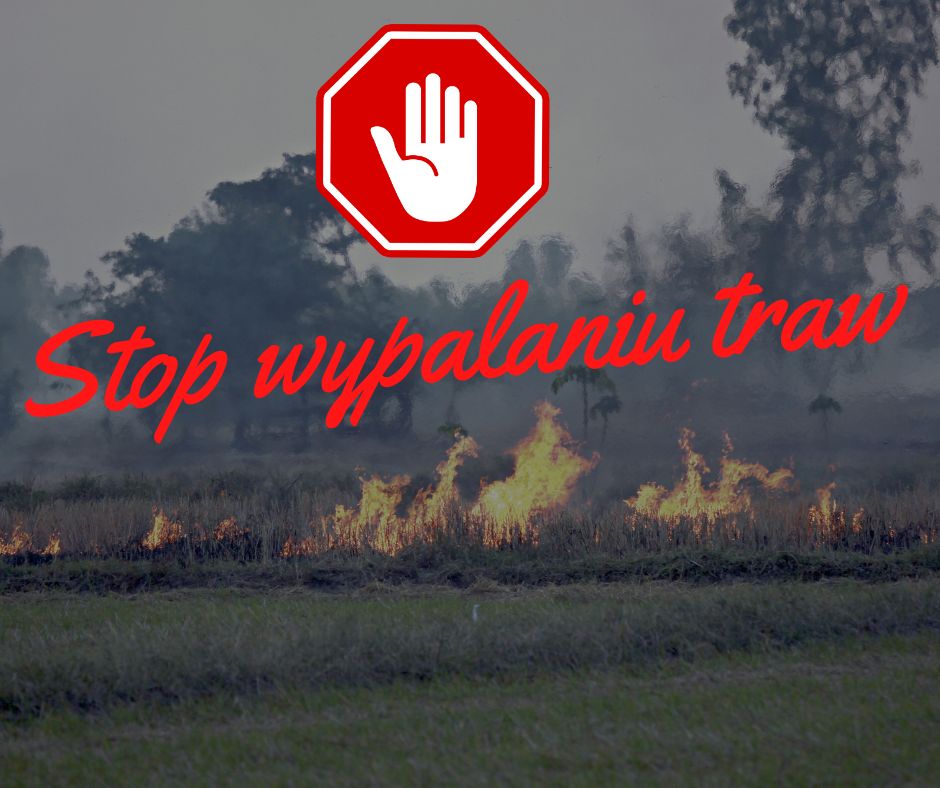stop wypalaniu traw