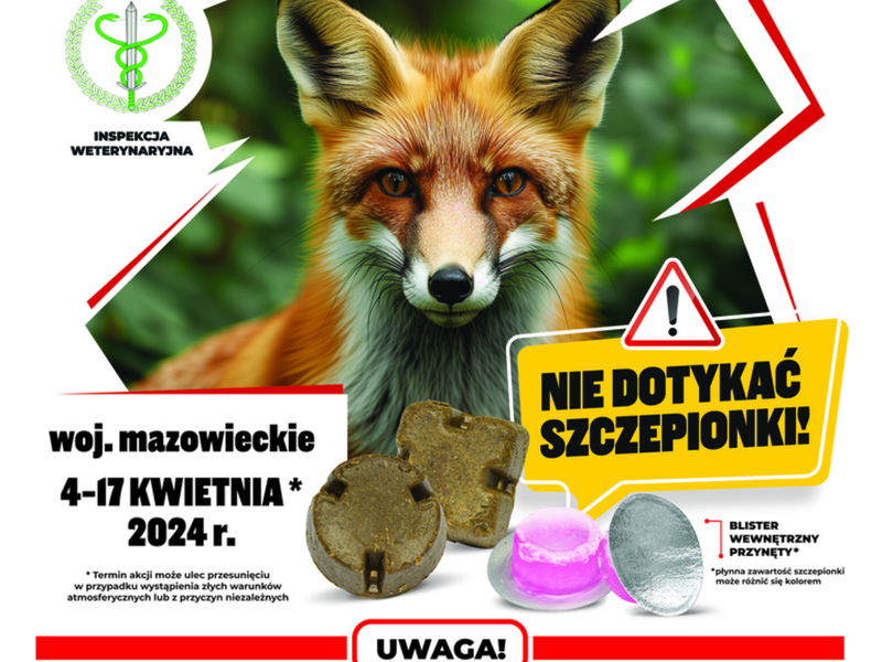 Wiosenna akcja szczepienia lisów