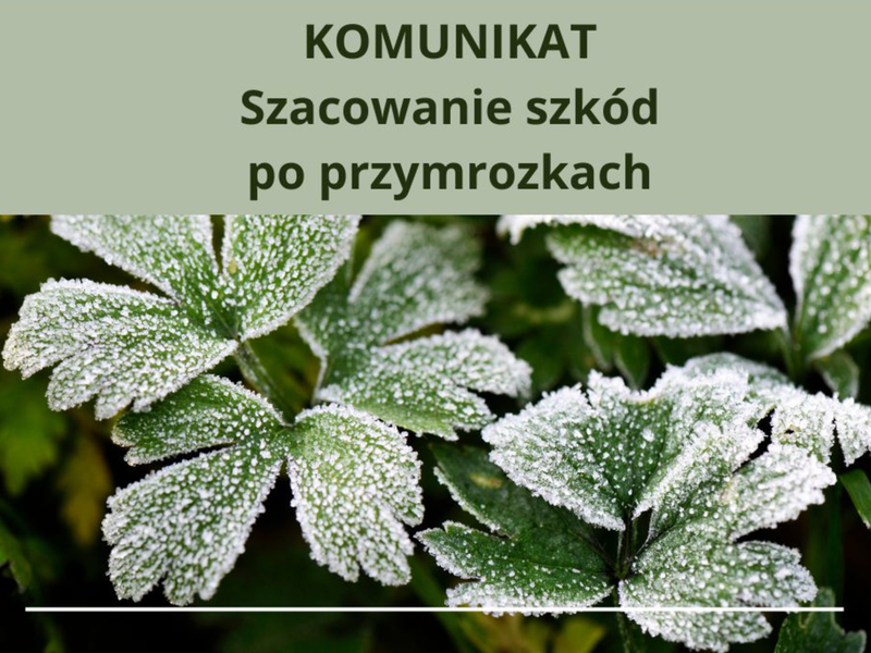 Komunikat szacowanie szkód