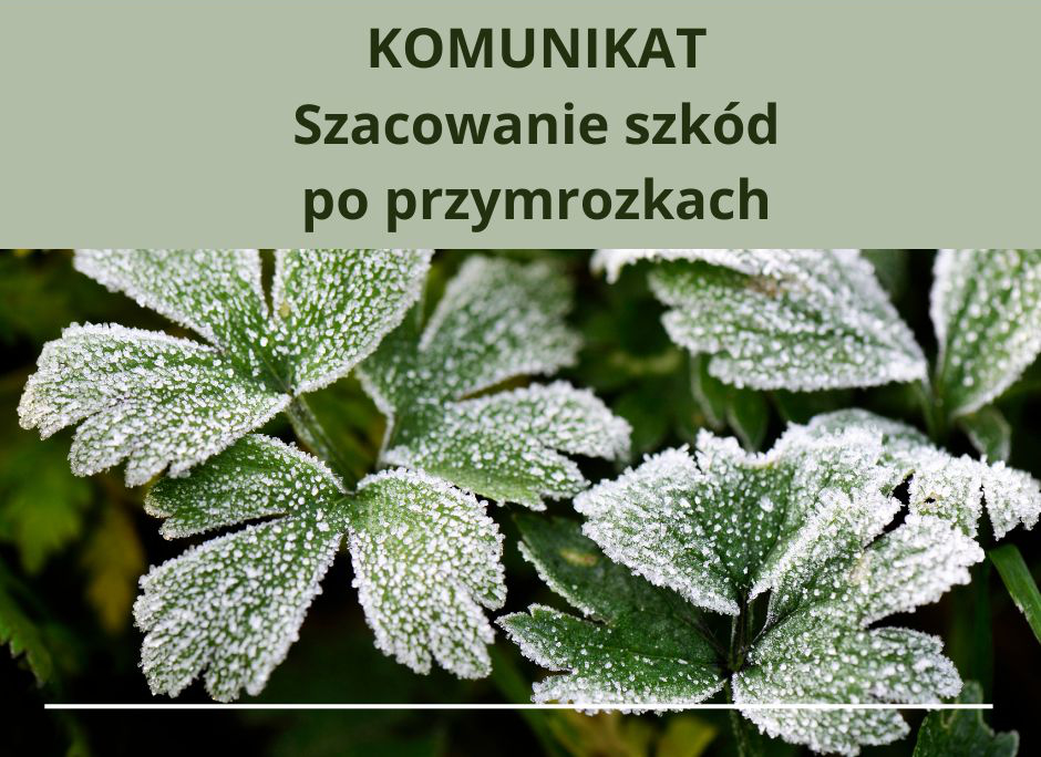 Komunikat szacowanie szkód