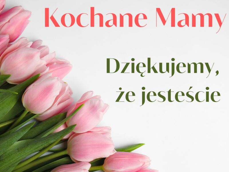 zdjęcie przedstawia różowe tulipany oraz tekst: kochane mamy, dziękujemy że jesteście