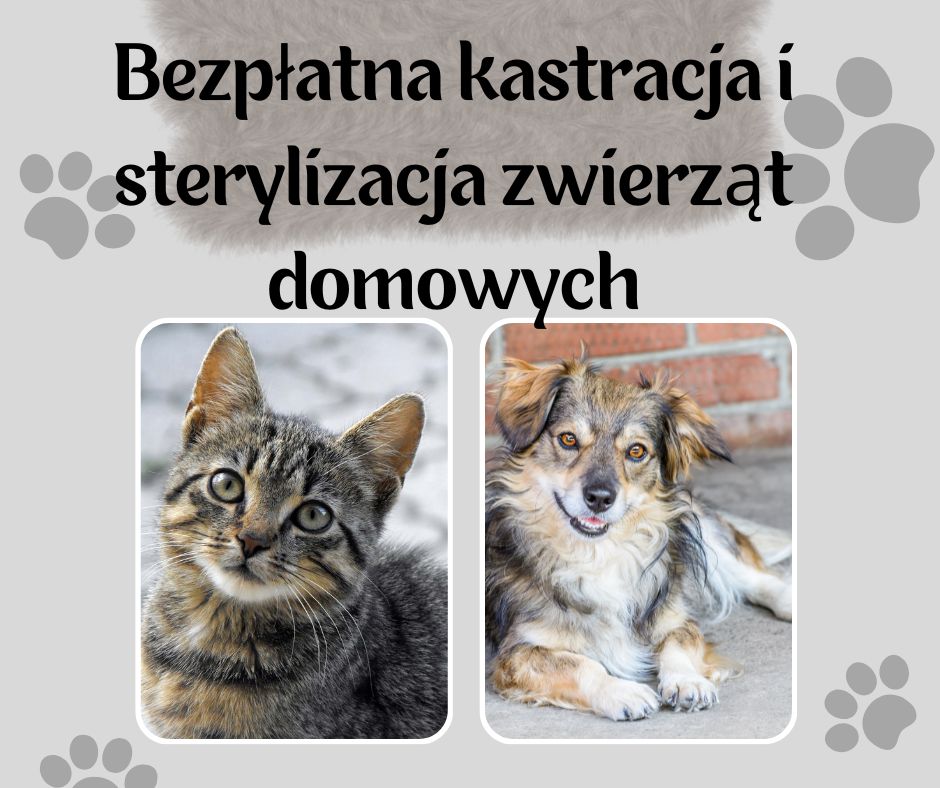 kastracja