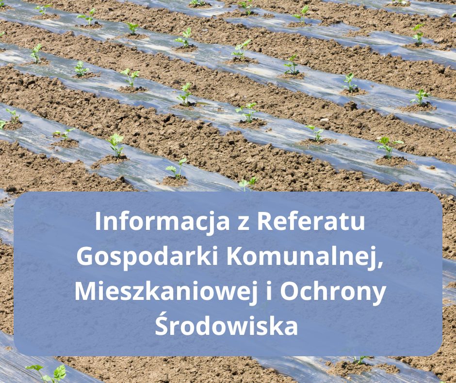 Baner przedstawia uprawę rolną przykrytą folią