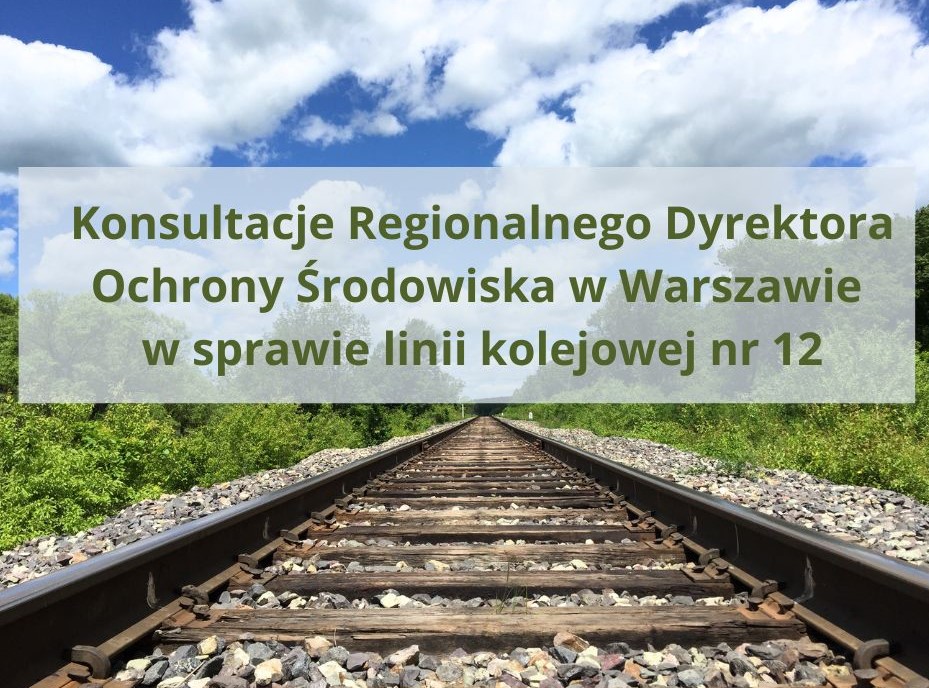 Baner konsultacje 