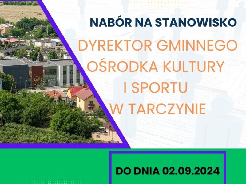 nabór dyrektor gokis