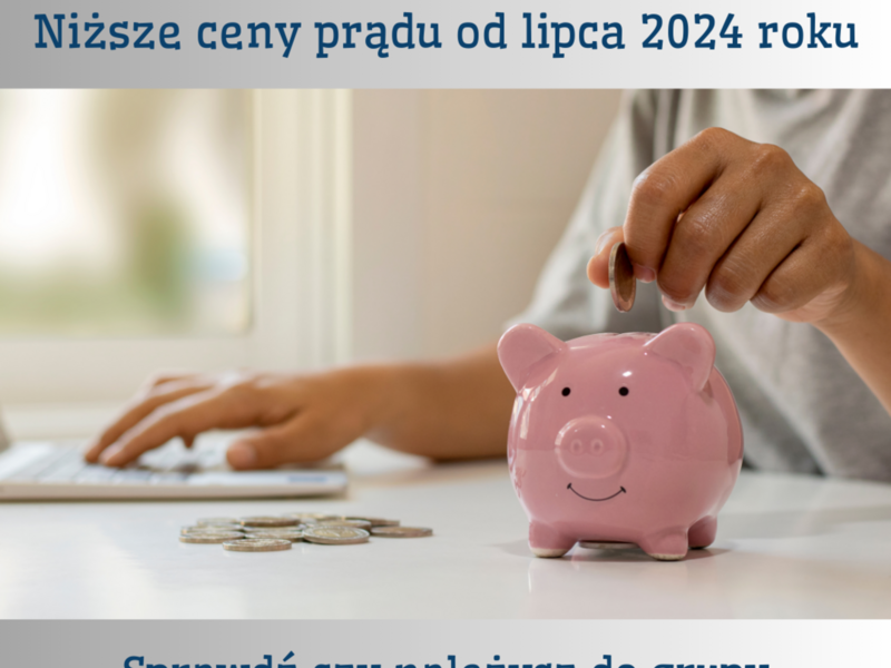Zdjęcie przedstawia skarbonke