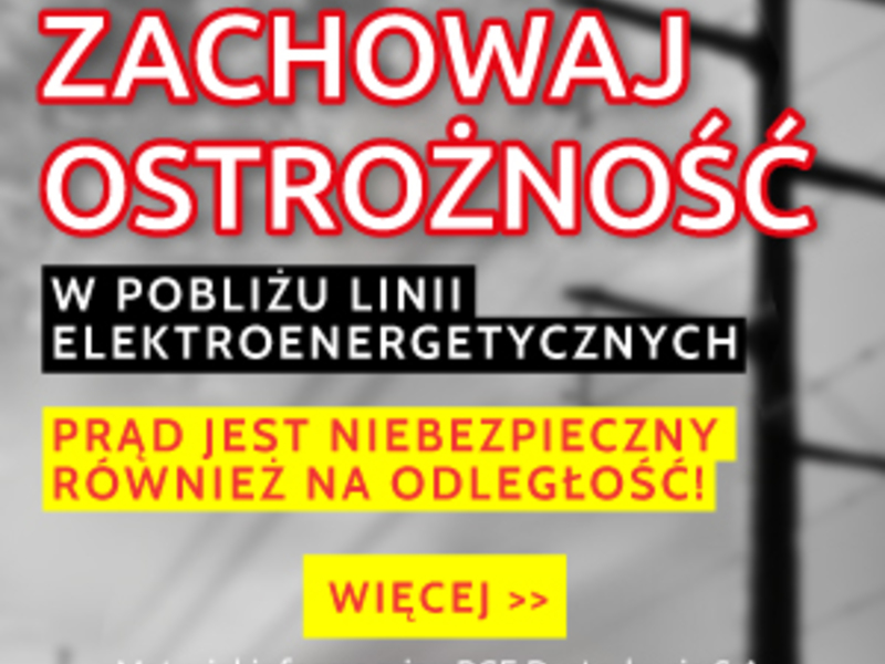 dystrybucja