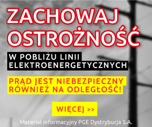dystrybucja