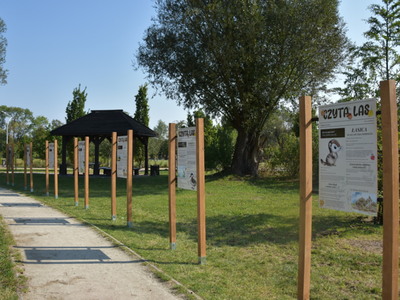 tablice 1
