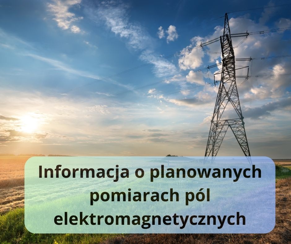 informacja o polach