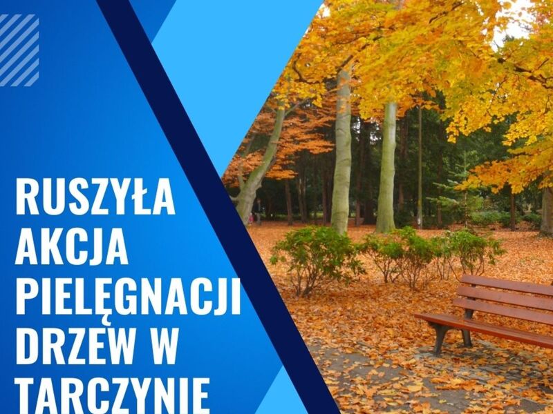 pielegnacja drzew