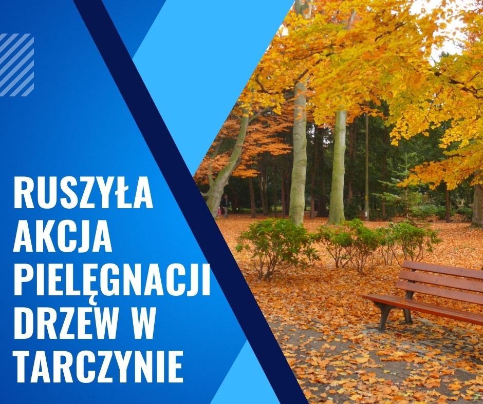 pielegnacja drzew