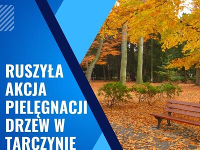 pielegnacja drzew