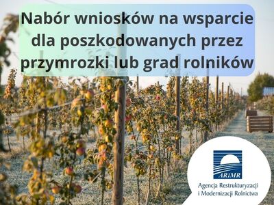 przymrozki