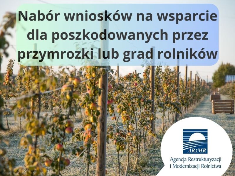 przymrozki