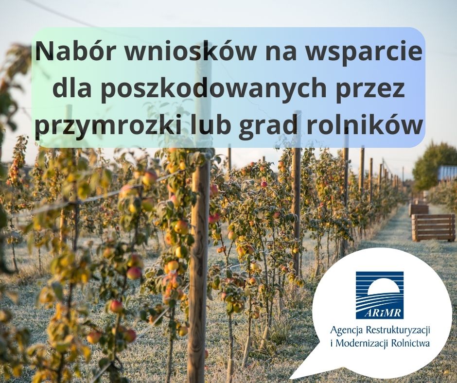 przymrozki