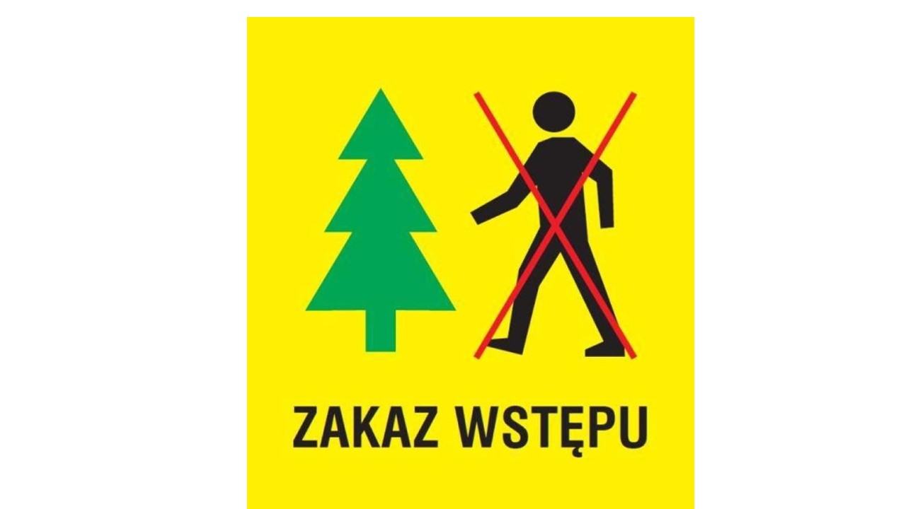 Zakaz wstępu do lasu
