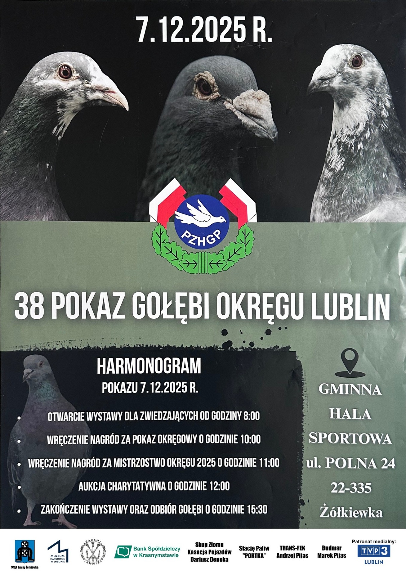 38. POKAZ GOŁĘBI OKRĘGU LUBLIN