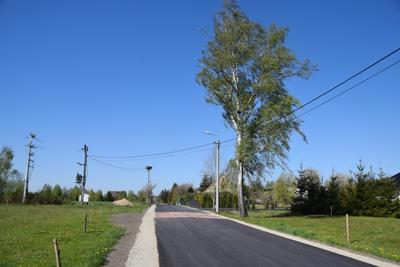 Droga na kolonii we Wrześnicy