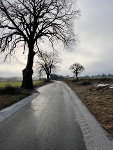 Przebudowa drogi gminnej w Żukowie