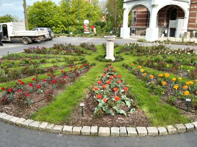 Tulipany w Rosarium "Pałacyk"