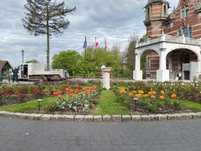 Tulipany w Rosarium "Pałacyk"