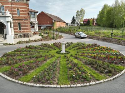 Tulipany w Rosarium "Pałacyk"