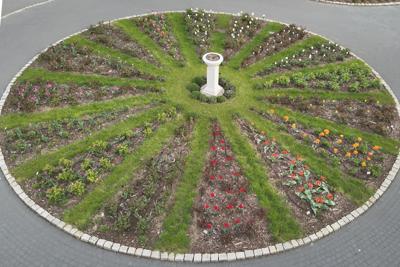 Tulipany w Rosarium "Pałacyk"
