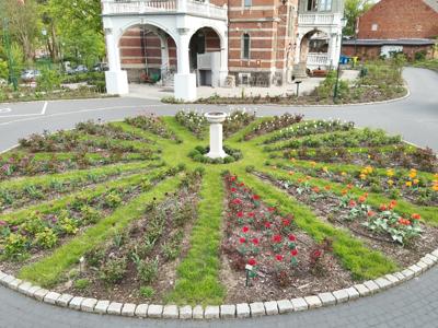 Tulipany w Rosarium "Pałacyk"