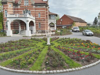 Tulipany w Rosarium "Pałacyk"
