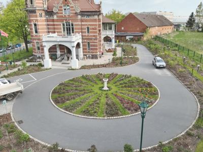 Tulipany w Rosarium "Pałacyk"
