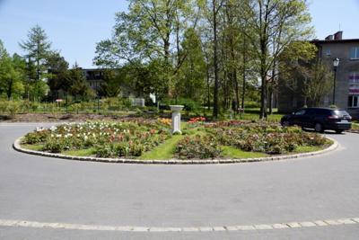 Tulipany w Rosarium "Pałacyk"