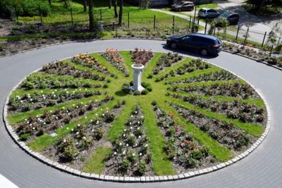 Tulipany w Rosarium "Pałacyk"