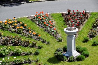 Tulipany w Rosarium "Pałacyk"