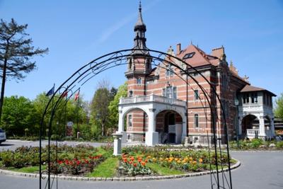 Tulipany w Rosarium "Pałacyk"