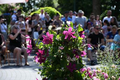 Dzień Otwarty w Rosarium "Pałacyk" - relacja z wydarzenia.