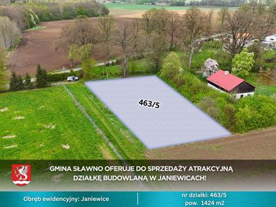 Działka Janiewice