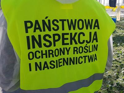 Państwowa Inspekcja Ochrony Roślin i Nasiennictwa apeluje o ostrożność w stosowaniu fumigantów