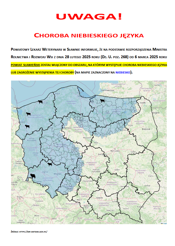 Powiat Sławieński objęty obszarem występowania choroby niebieskiego języka