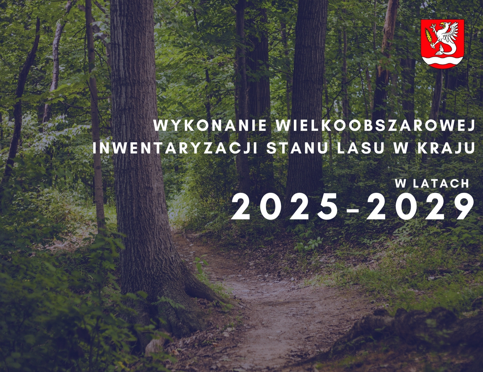 Wielkoobszarowa Inwentaryzacja Stanu Lasu 2025-2029