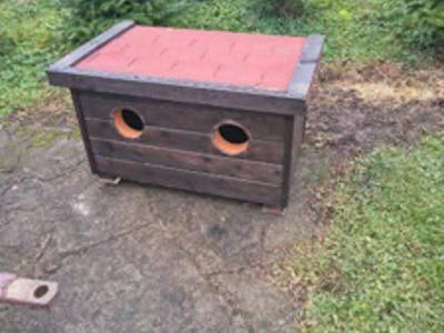 "Nasze Zwierzaki" w Gminie Sławno