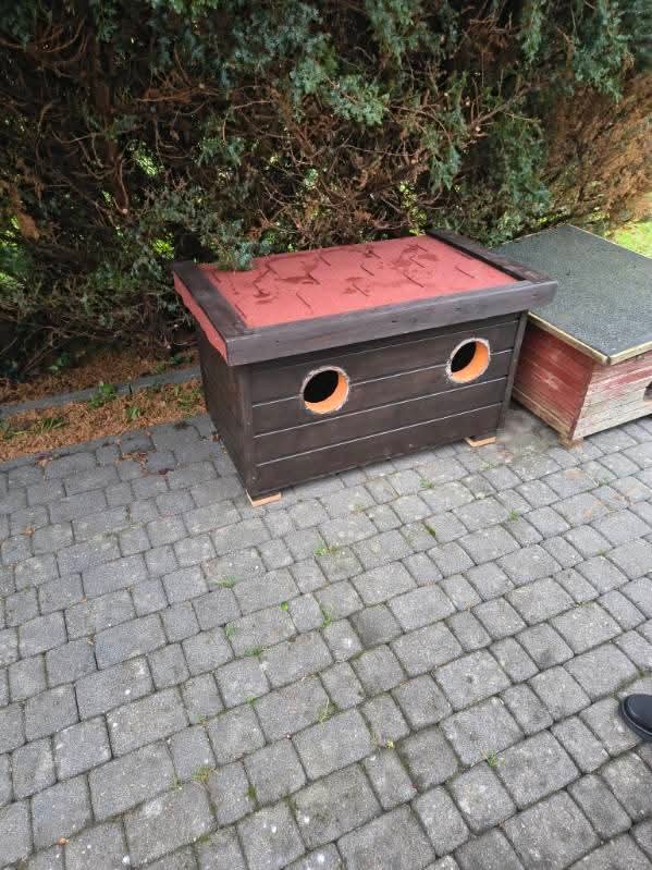 "Nasze Zwierzaki" w Gminie Sławno