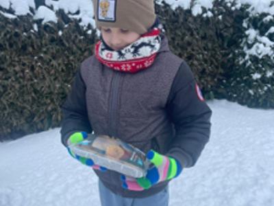 Zimowa pomoc dla ptaków – piękna inicjatywa uczniów SP we Wrześnicy 