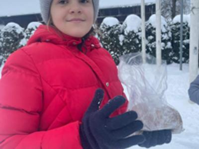 Zimowa pomoc dla ptaków – piękna inicjatywa uczniów SP we Wrześnicy 