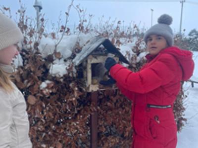 Zimowa pomoc dla ptaków – piękna inicjatywa uczniów SP we Wrześnicy 