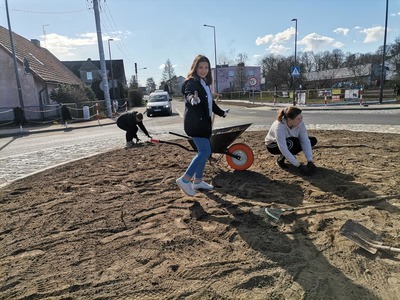Nasadzenia w Smardzewie