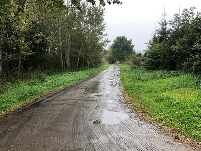 Stan dróg w dniu 15.10.2021 r.
