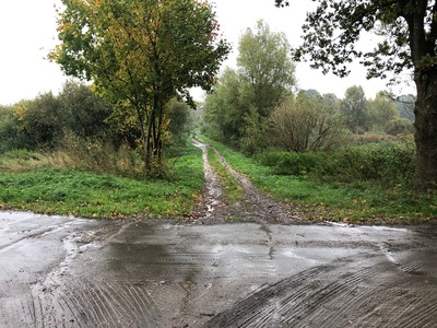 Stan dróg w dniu 15.10.2021 r.